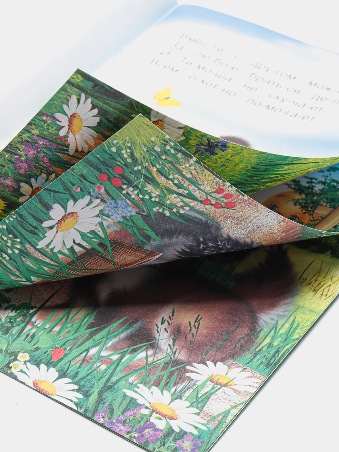 Лайм книги  для детей 4-7 лет. Текст разделен на слоги. Формат 16 х 22 см., 8 стр