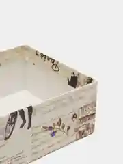 Слоновая кость коробка для подарка