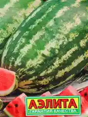 Семена "Арбуз Бочка меда"