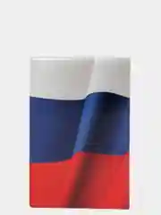 Обложка на паспорт