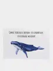 Открытка с китом в крафтовом конверте