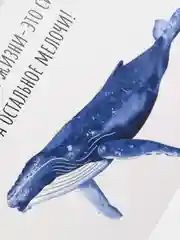 Открытка с китом в крафтовом конверте