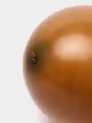Манго воздушные шары