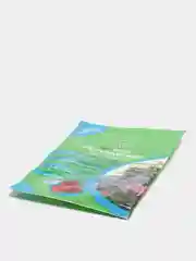 Регулятор роста "Регулар ВРП", 1 гр