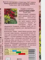 Седум очиток Бархатный ковер (семена,цветы)