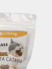 Лакомство для кошек "Шарик с кошачьей мятой"