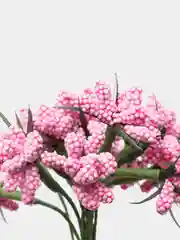 Конфетный тычинки с сахарными вставками. 12 штук