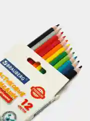 Карандаши цветные пластиковые BRAUBERG PREMIUM, 12 цветов
