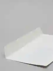 Конверт 10 штук, 220х110