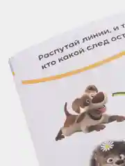 Серый весёлые уроки все книги серии в одном месте (мега)