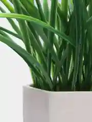 Белый цветы искусственные в горшке