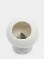 Угольный керамический цветочный горшок "Котята"