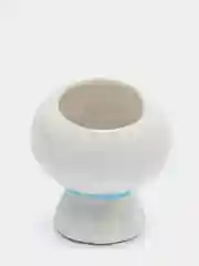 Зеленый керамический цветочный горшок "Котята"