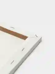 Картина по номерам на холсте с подрамником 50x40 "Австрийская площадь"