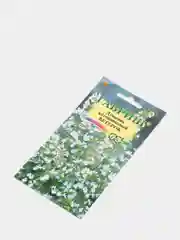 Душевик Ветерок, семена