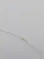 Светодиодная гирлянда (для декора 1 метр) LED гибкая, на батарейках