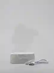 Фиолетовый акриловый ночник