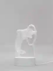 Горчичный акриловый ночник
