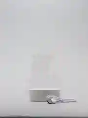 Бронзовый акриловый ночник