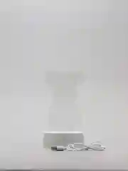 Кораллово-розовый акриловый ночник