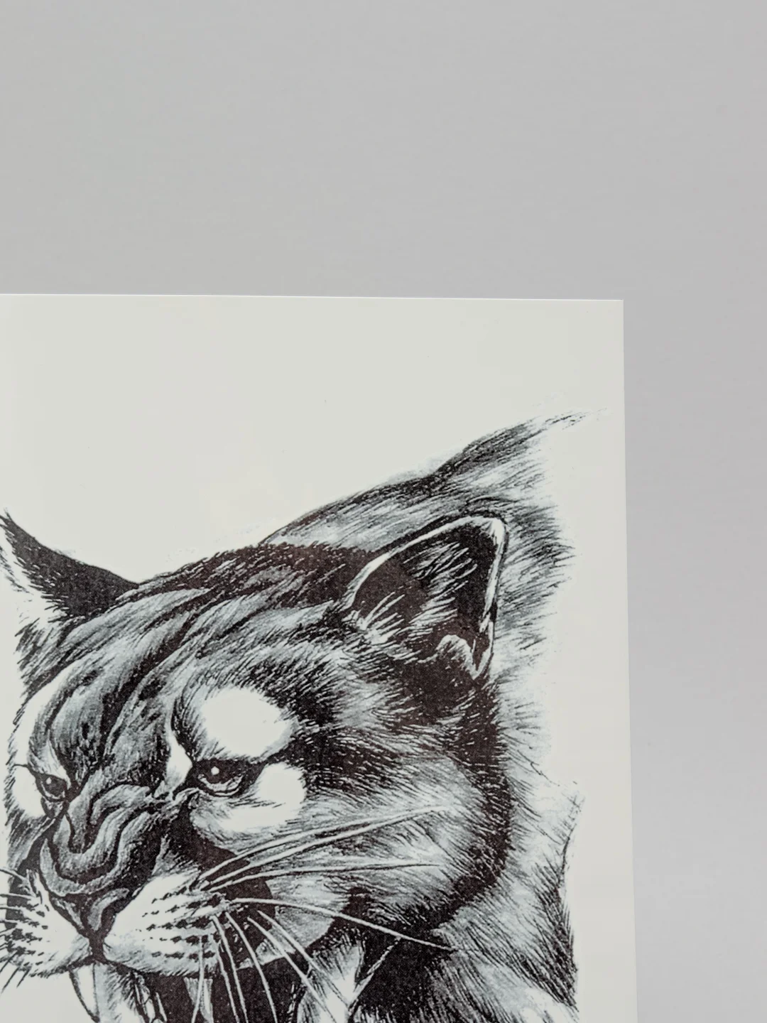 Конфетный временная татуировка "Лисы, волки, тигры", 21*15 см