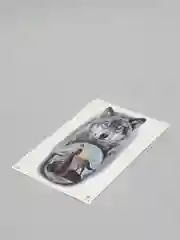 Морской временная татуировка "Лисы, волки, тигры", 21*15 см