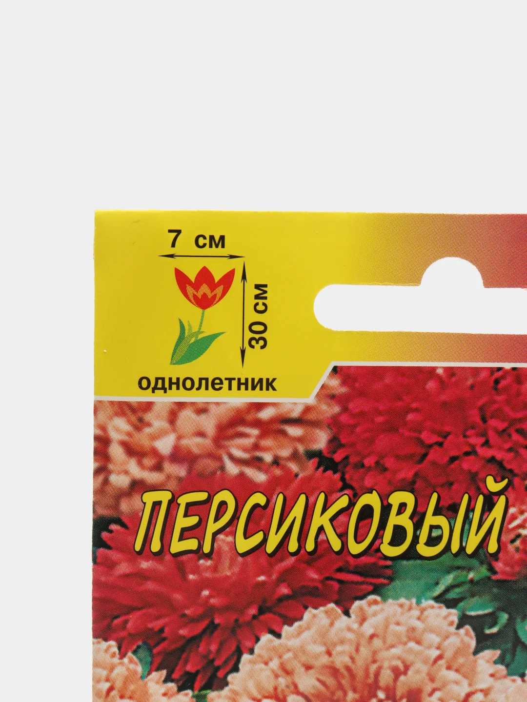 Астра "Бордюр персиковый", семена, цветы