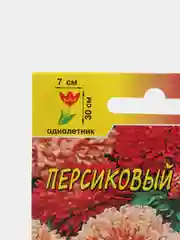 Астра "Бордюр персиковый", семена, цветы