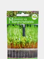 Микрозелень МАНГОЛЬД СМЕСЬ (10 гр), семена