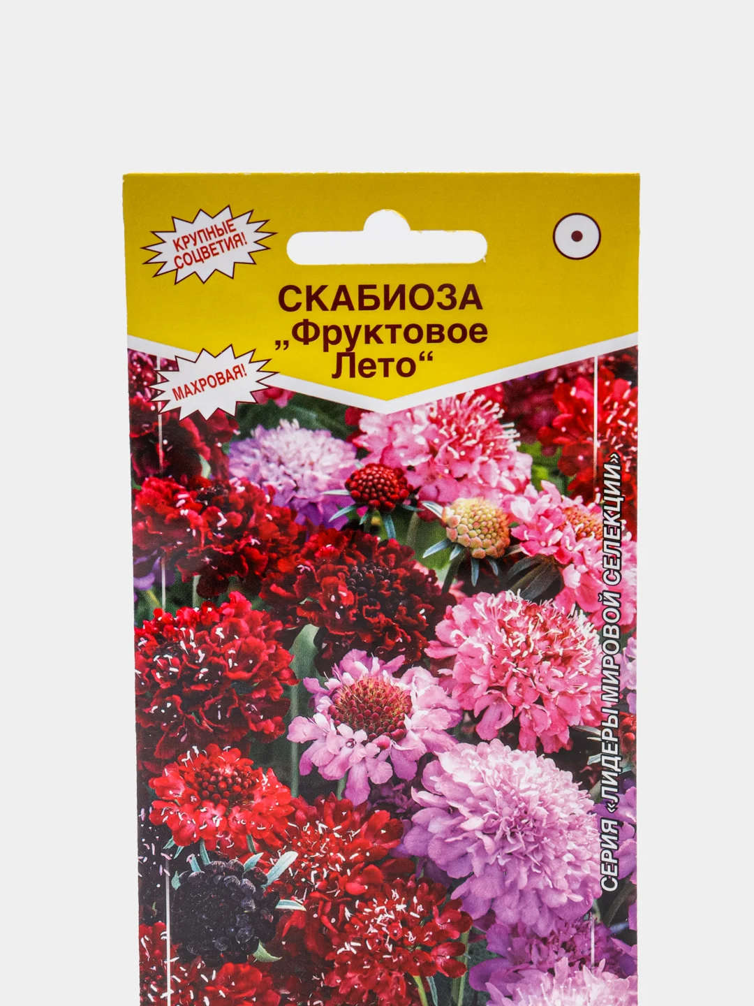 Скабиоза ФРУКТОВОЕ ЛЕТО (10 шт), семена цветов