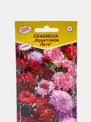 Скабиоза ФРУКТОВОЕ ЛЕТО (10 шт), семена цветов