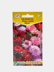 Скабиоза ФРУКТОВОЕ ЛЕТО (10 шт), семена цветов