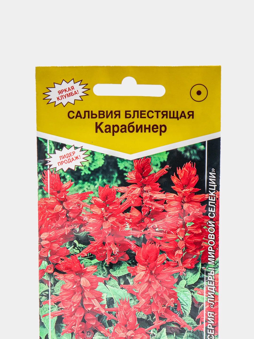Купить Семена Алый Сахар