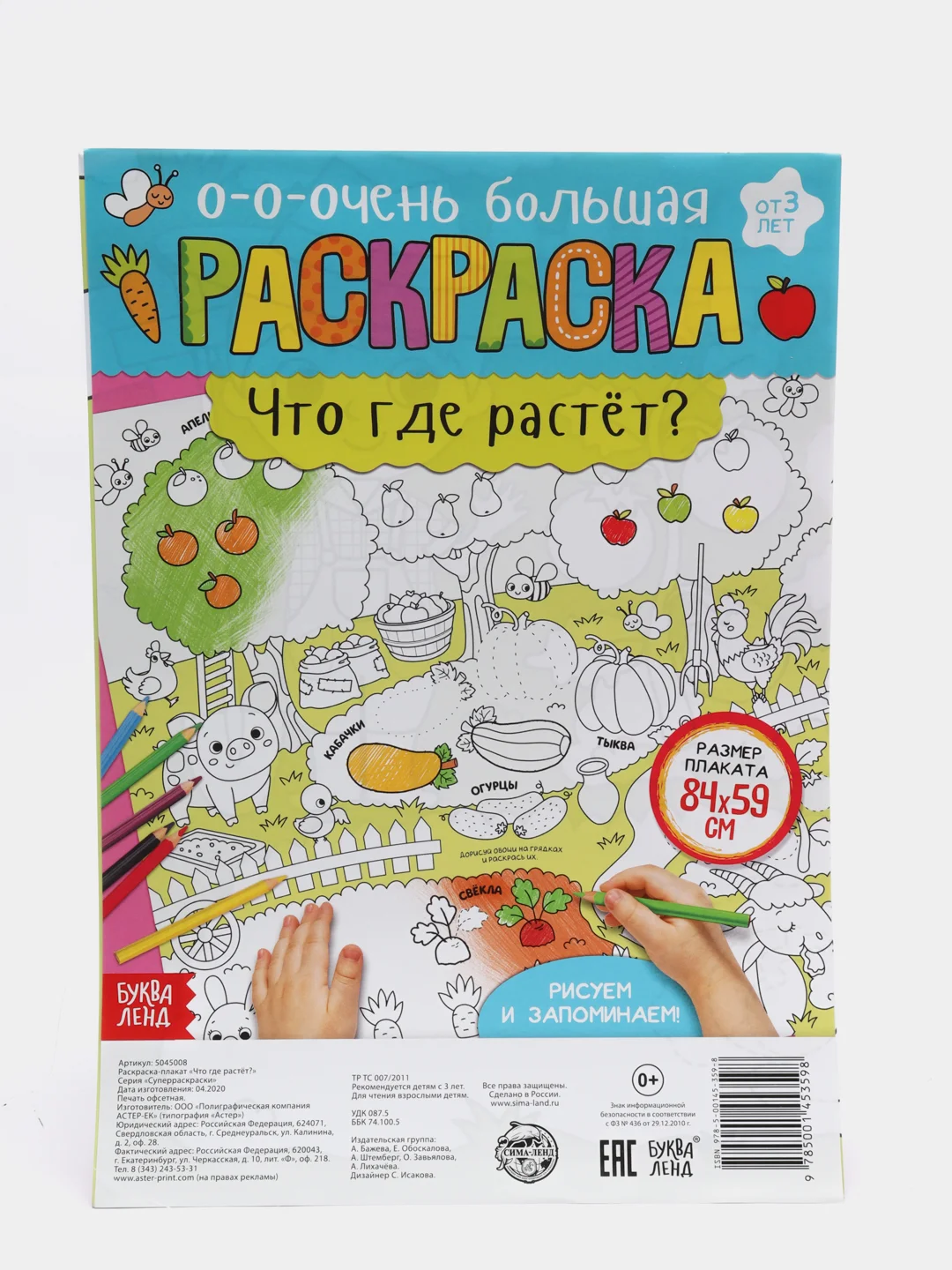 Раскраска - гигант "Что где растёт?"