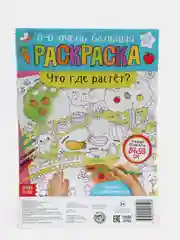 Раскраска - гигант "Что где растёт?"