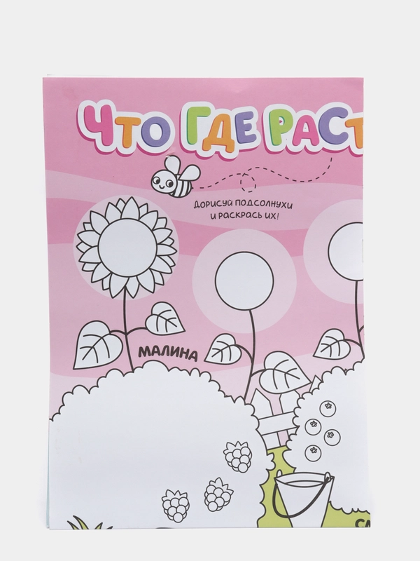 Раскраска - гигант "Что где растёт?"