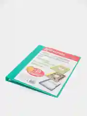 Папка для портфолио и презентаций, 2 кольца, 20 файлов, пластик, зеленая, BRAUBERG, 126677