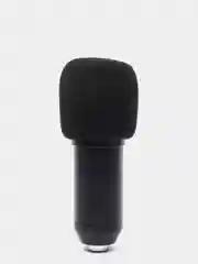 Микрофон в комплекте BM800, USB