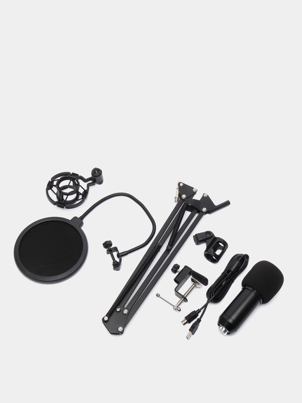Микрофон в комплекте BM800, USB