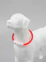 Красный светящийся LED ошейник силиконовый для собак на USB зарядке