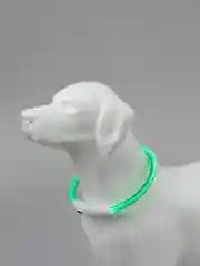 Лайм светящийся LED ошейник силиконовый для собак на USB зарядке