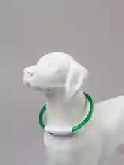 Лайм светящийся LED ошейник силиконовый для собак на USB зарядке