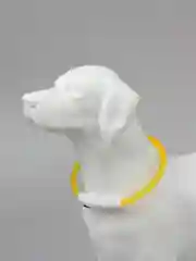 Светящийся LED ошейник силиконовый для собак на USB зарядке