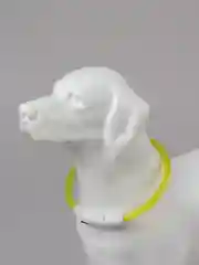 Светящийся LED ошейник силиконовый для собак на USB зарядке