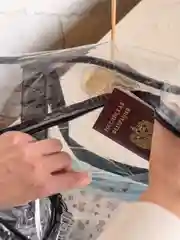 Бирюзовый сумка в роддом и 2 органайзера водонепроницаемые, прозрачные, набор 3 штуки