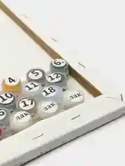 Картина  по номерам на холсте с подрамником 50x40 "Соечка"