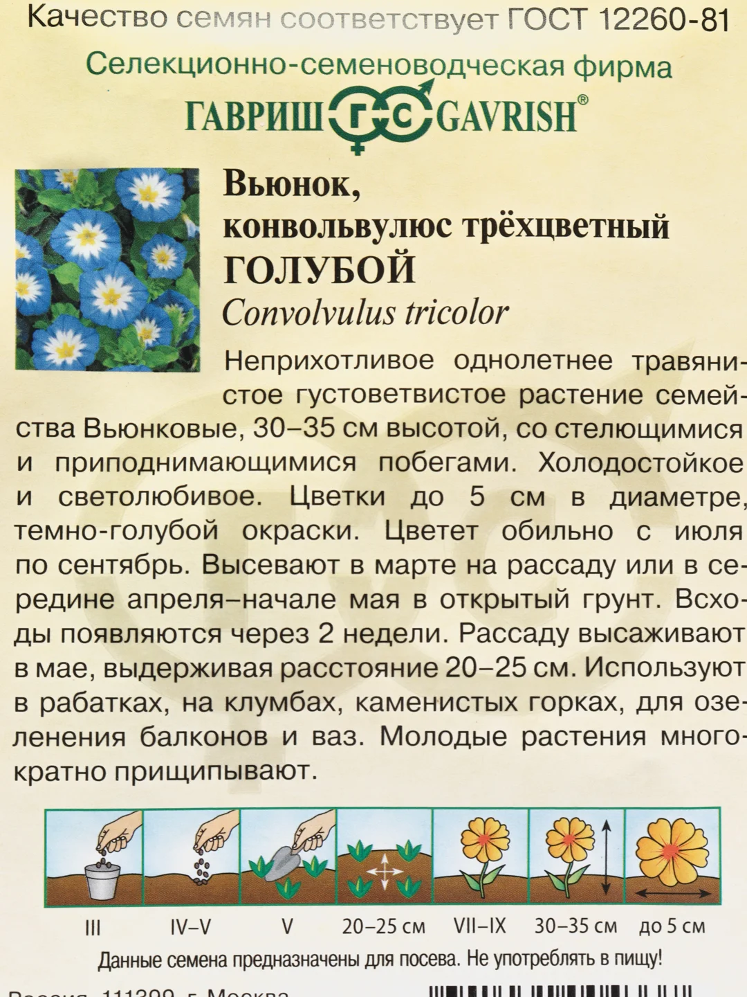 Семена цветы "Вьюнок Голубой"