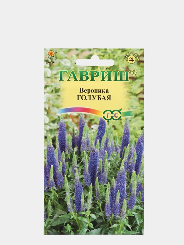 Семена цветы "Вероника голубая"