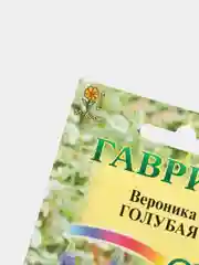 Семена цветы "Вероника голубая"