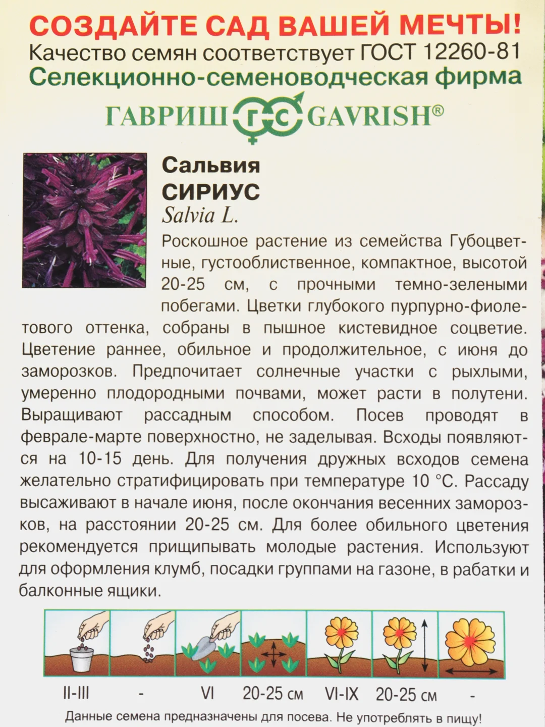 Семена Сальвия Сириус